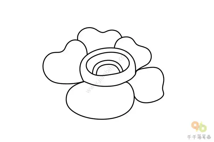 大王花简笔画步骤图