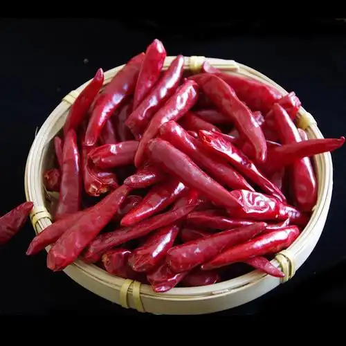 【工厂直发】内黄新一代干辣椒特香特辣火锅辣椒重庆板面辣椒500g