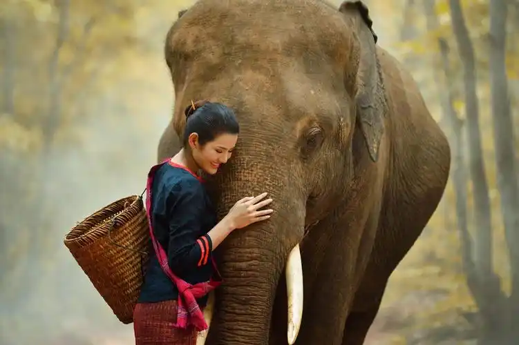 泰国美女僧侣人物与大象高清图片