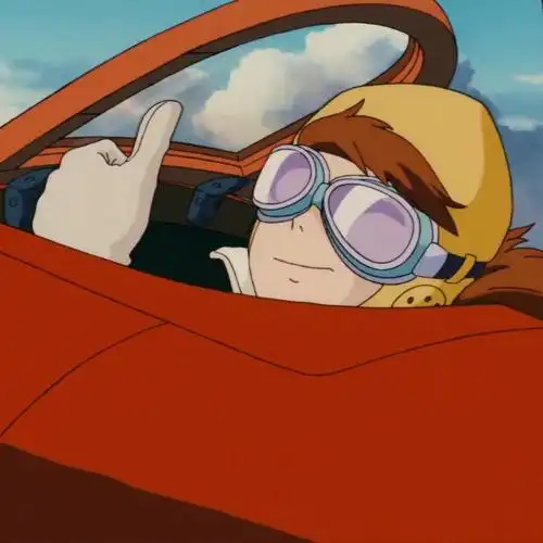 红猪头像4菲儿和波鲁克的完美情头