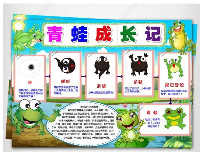 wordps青蛙成长记小报动物生长手抄报小蝌蚪生长过程小报观察日记电子
