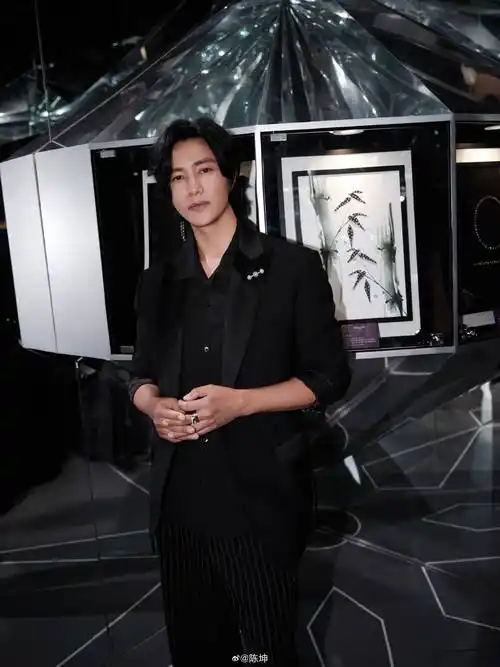 古装美男天花板陈坤居然想演厨师舞台让于文文变得越来越外放