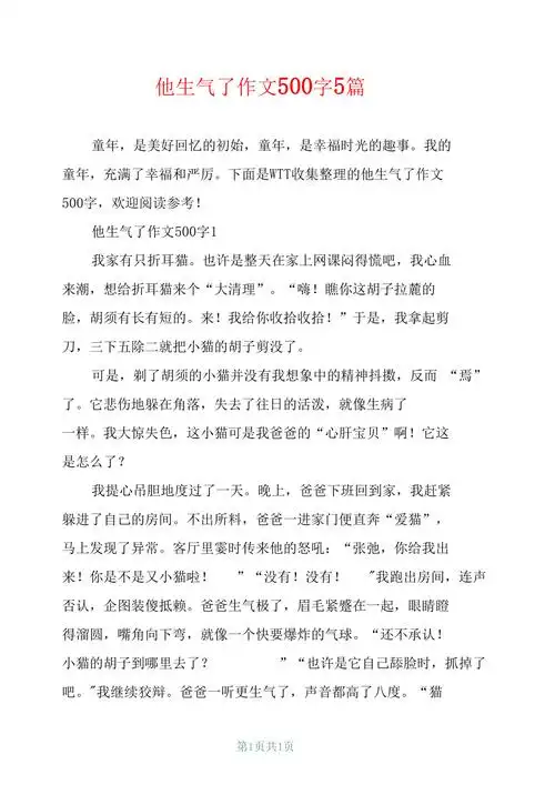 他生气了作文500字5篇