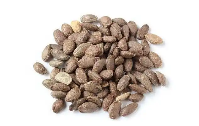 瓜蒌子的功效与作用 瓜蒌子图片