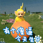 生日快乐整蛊表情包有个傻瓜今天生日祝你生日快乐