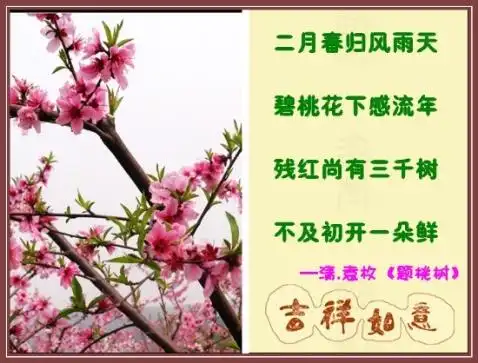 桃花颂【古诗】