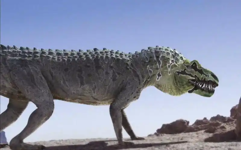 始盗龙戏弄后鳄兽