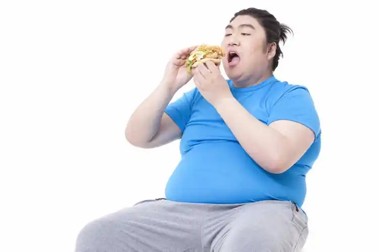 胖子吃汉堡