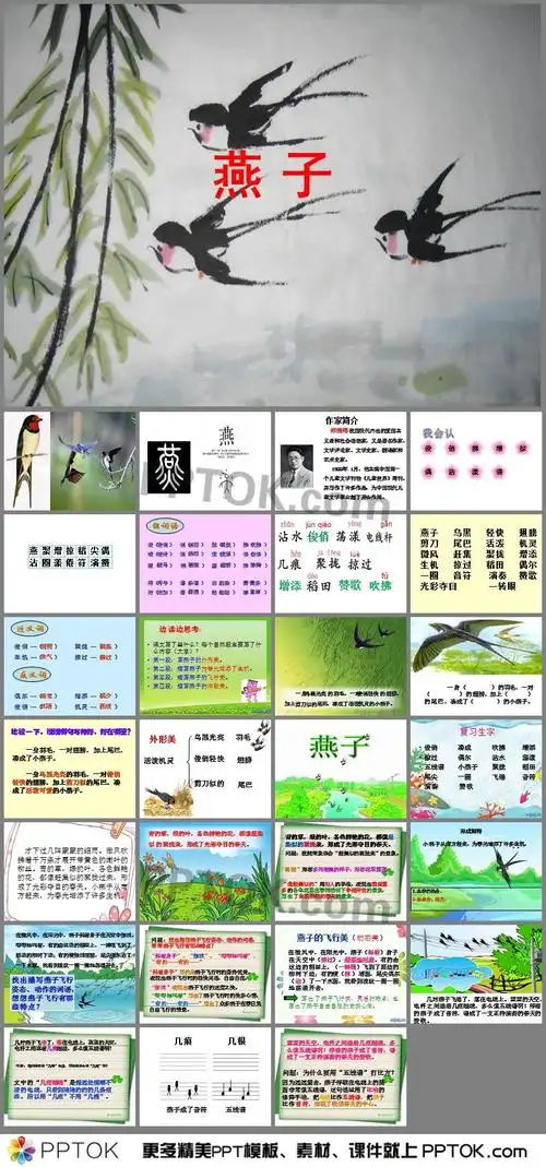 燕子ppt图片
