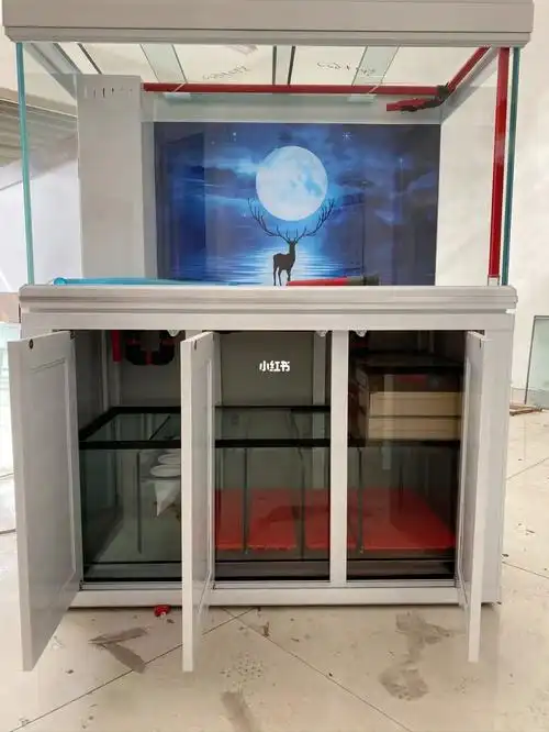 双层干湿分离满尺寸大底滤12mm金晶超白