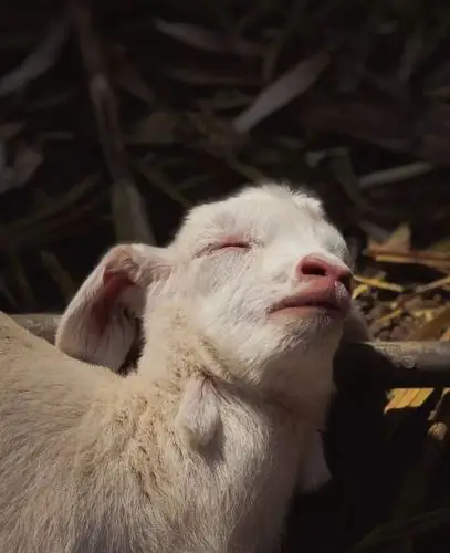 testv 春·手机摄影大赛获奖名单