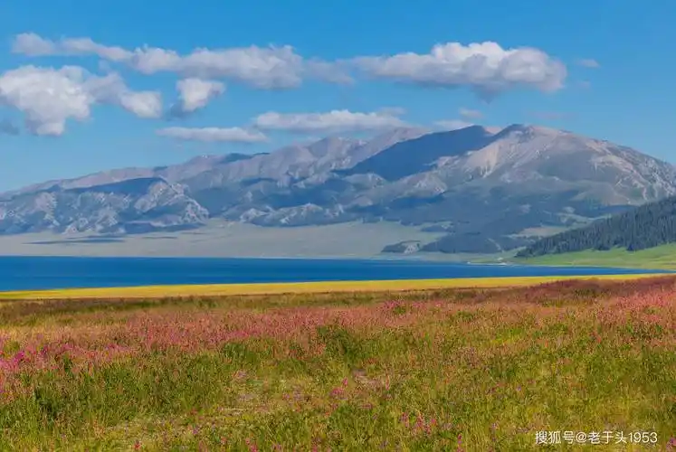 大美新疆北疆环线游--赛里木湖_草原_景区_塞里木