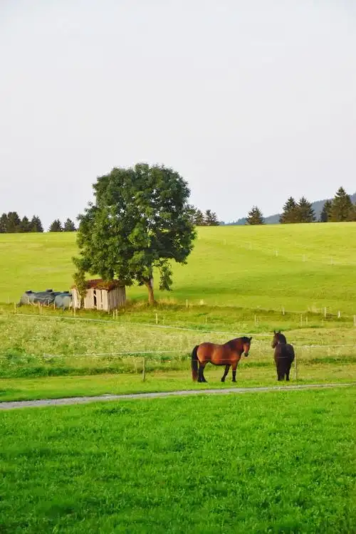 德国农村 - aliciaj