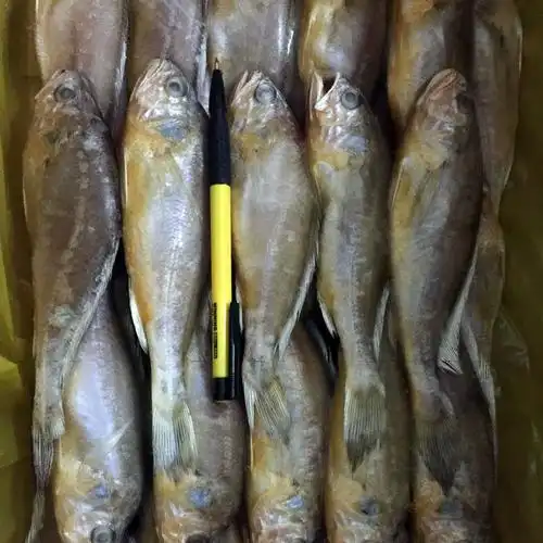 板冻黄花鱼/80-100g/7斤/件
