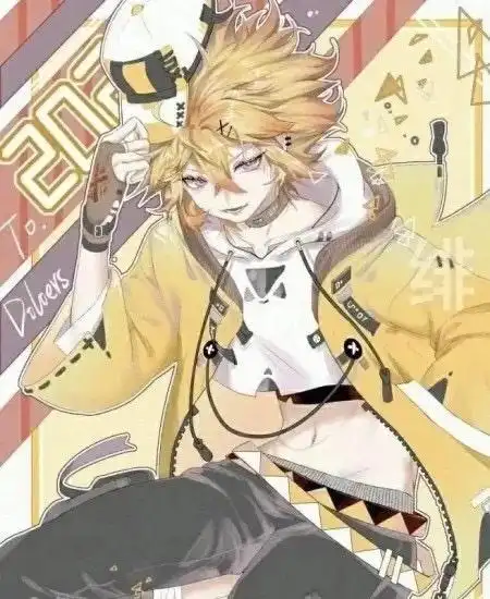 凹凸世界之黑客king