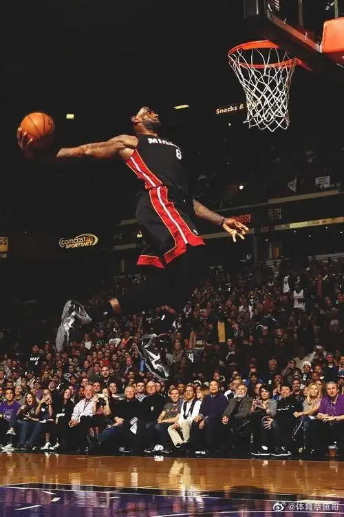 暴扣的詹姆斯_高清图集_新浪网