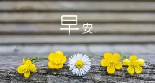 早安励志心语早安励志语录句子