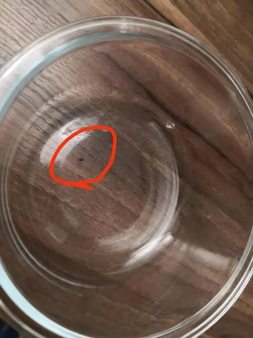 什么动物在我看不见的时候缓缓爬过我吃饭用的碗……现在怀疑是蟑螂屎