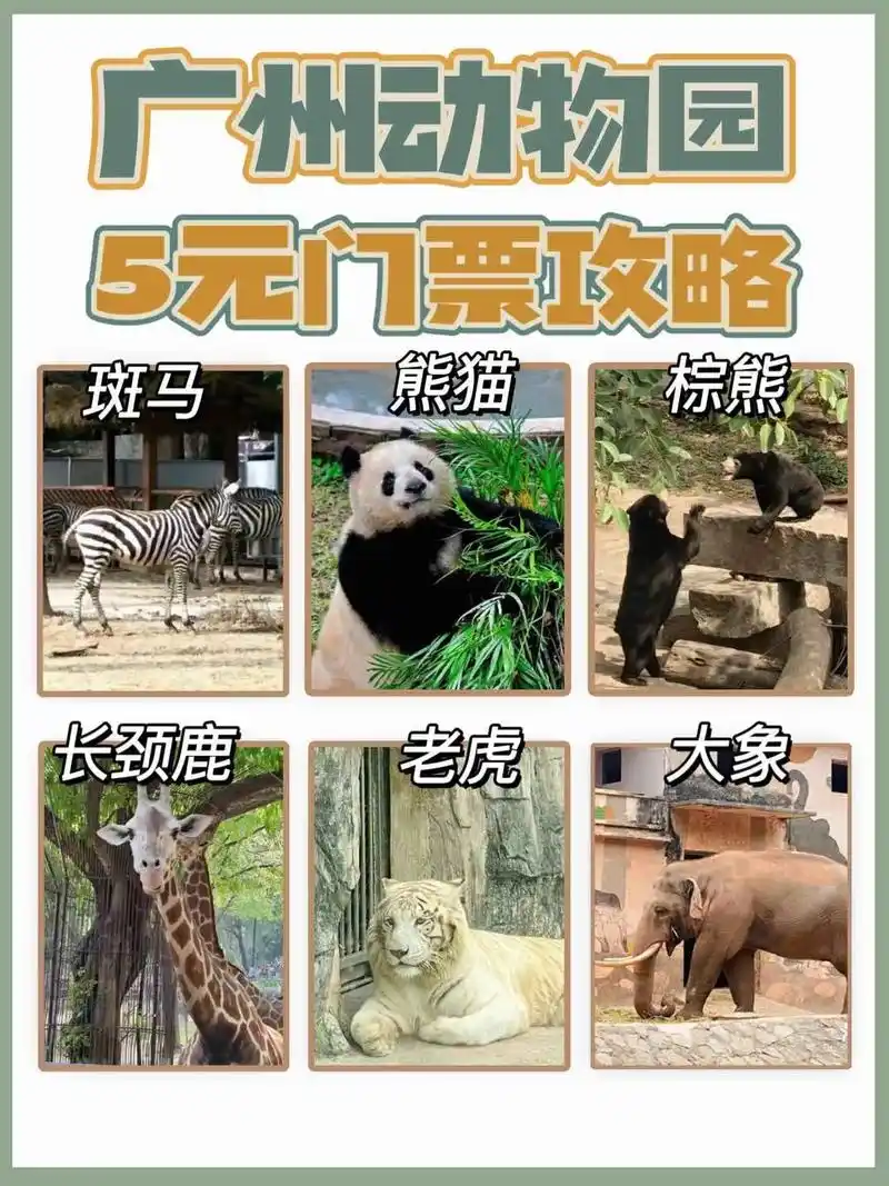 别买贵了!1折购广州动物园门票.广州动物园最近搞活 - 抖音