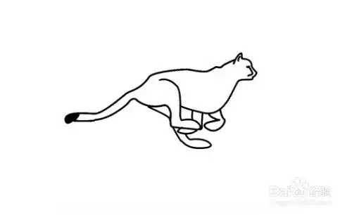 如何画奔跑的豹子