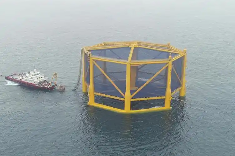 深海网箱养殖