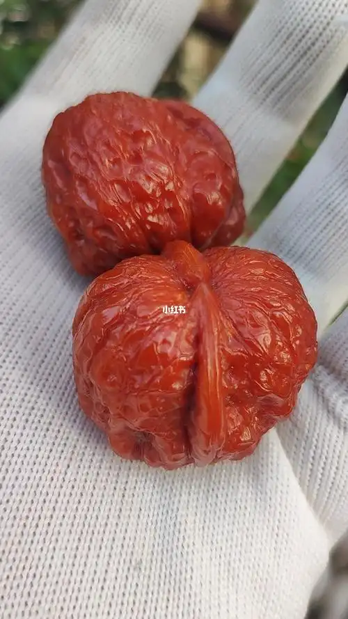 彻底玉化的蛤蟆头小手捻核桃