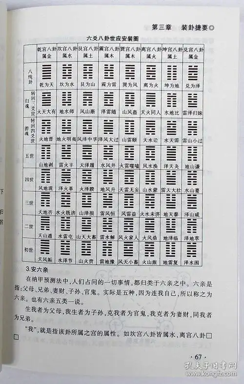 草龟怎么养 壳好看_四川扁壳草龟_占卜的龟壳