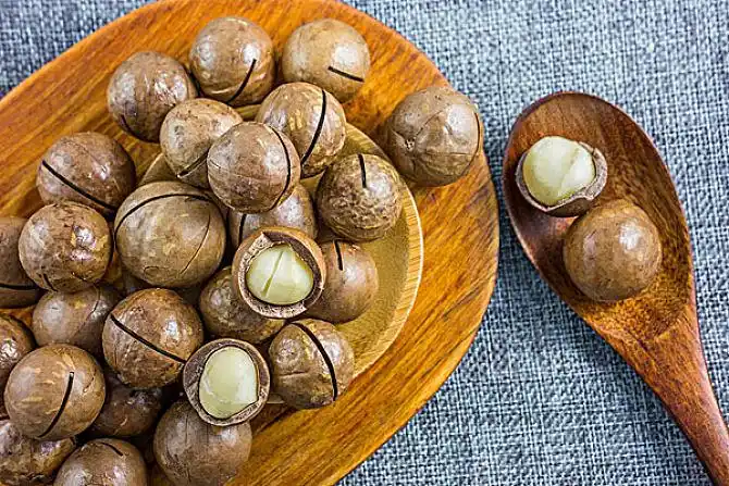 夏威夷果图片_图片大全