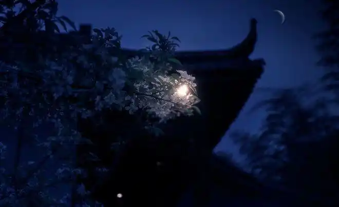 李商隐在深秋的夜里登楼眺望写下一首伤感之作通篇意境极悲