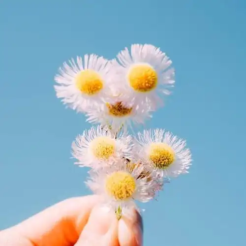 早晨朝气蓬勃的阳光句子,你所有的坚持,终会换来美好