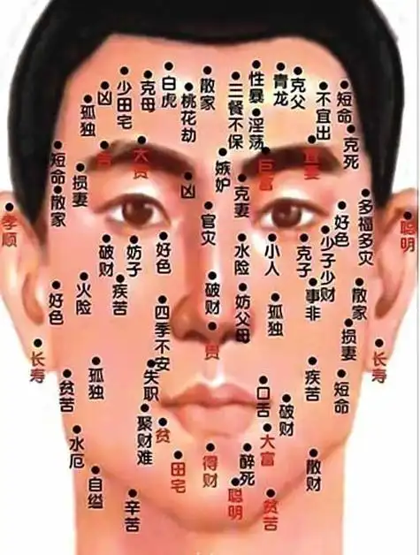 男子脸上疙瘩面相脸上有痣面相图
