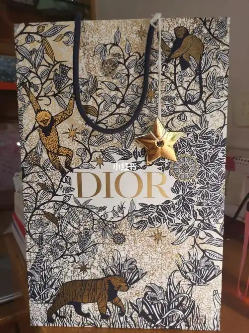 dior纸袋