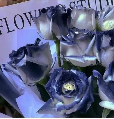 微信蓝玫瑰头像图片 微信头像图片大全 -【爱个性】