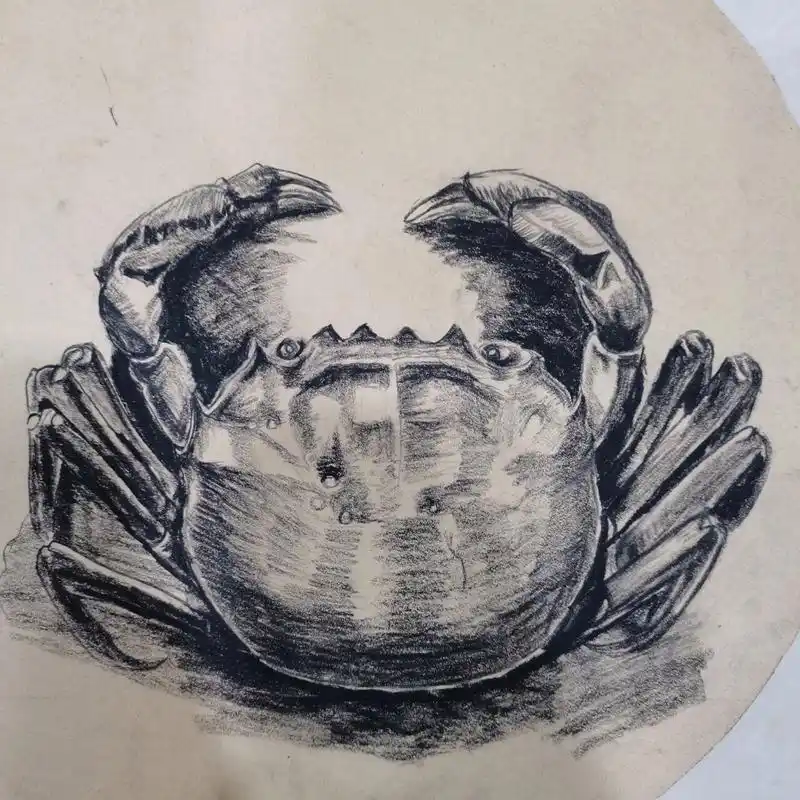 素描螃蟹