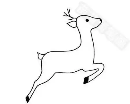 最好看的鹿简笔画 鹿简笔画图片大全