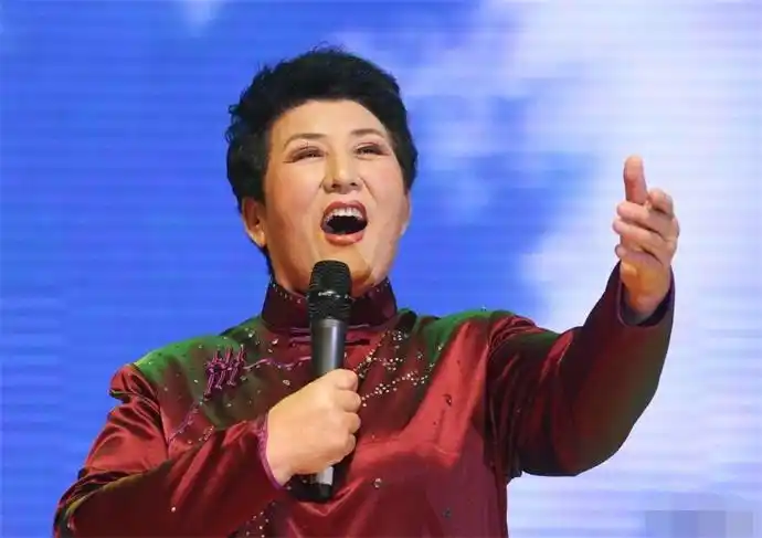 德德玛简介个人资料 半瘫后重返舞台的奇迹