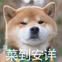 菜到安详的柴犬表情包_微信头像图片大全