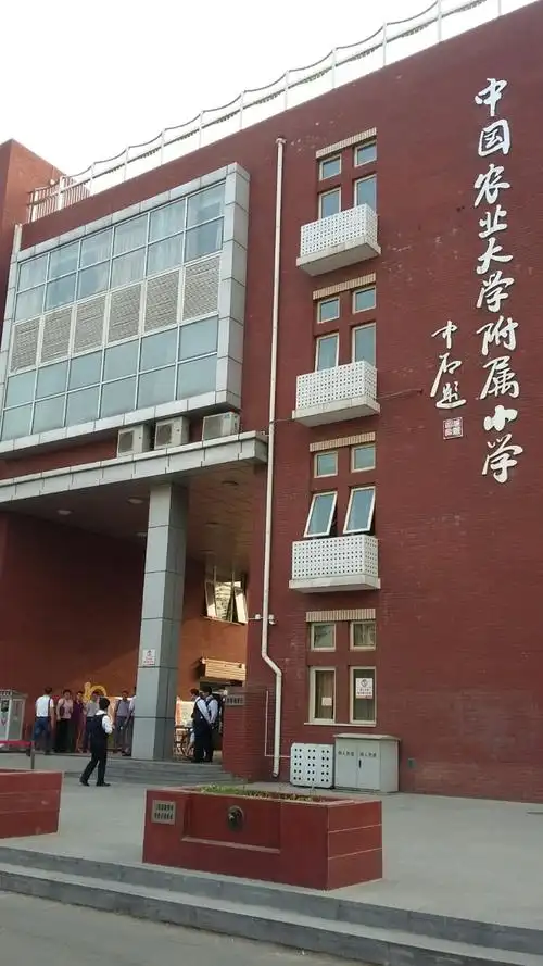 农大附小到精彩!