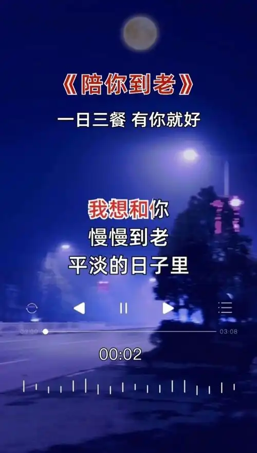 幸福来于简单平淡就像这首歌一样陪你到老情侣合拍