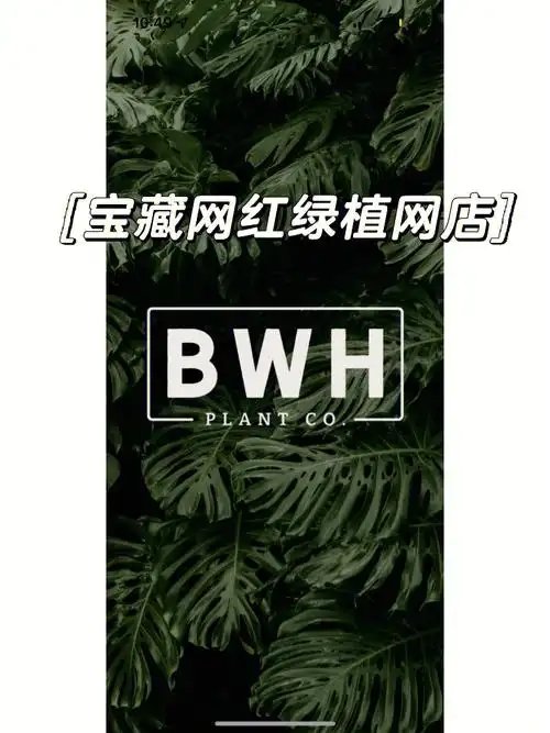 我每次开箱他们家的grower choice 热植和锦化植物,总让我wow出来!