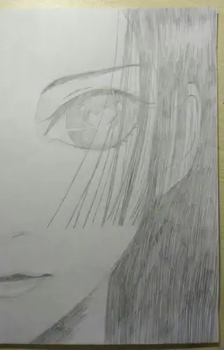 手绘女帝.不要问我为什么只有半边脸,因为另一边画残了.