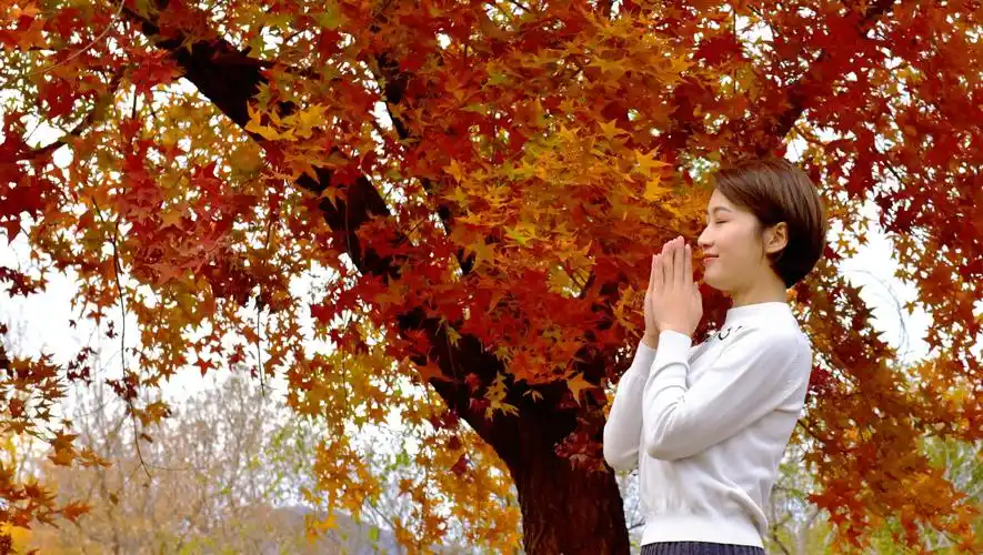 标题:枫叶与美女