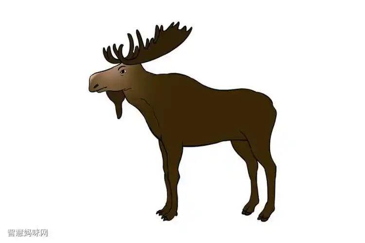 如何画驼鹿