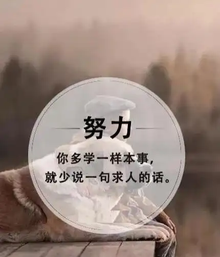 优美的积极向上的赠言短句积极向上幽默文案短句