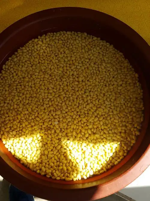 十一嘉年华,做豆花,幸福快乐