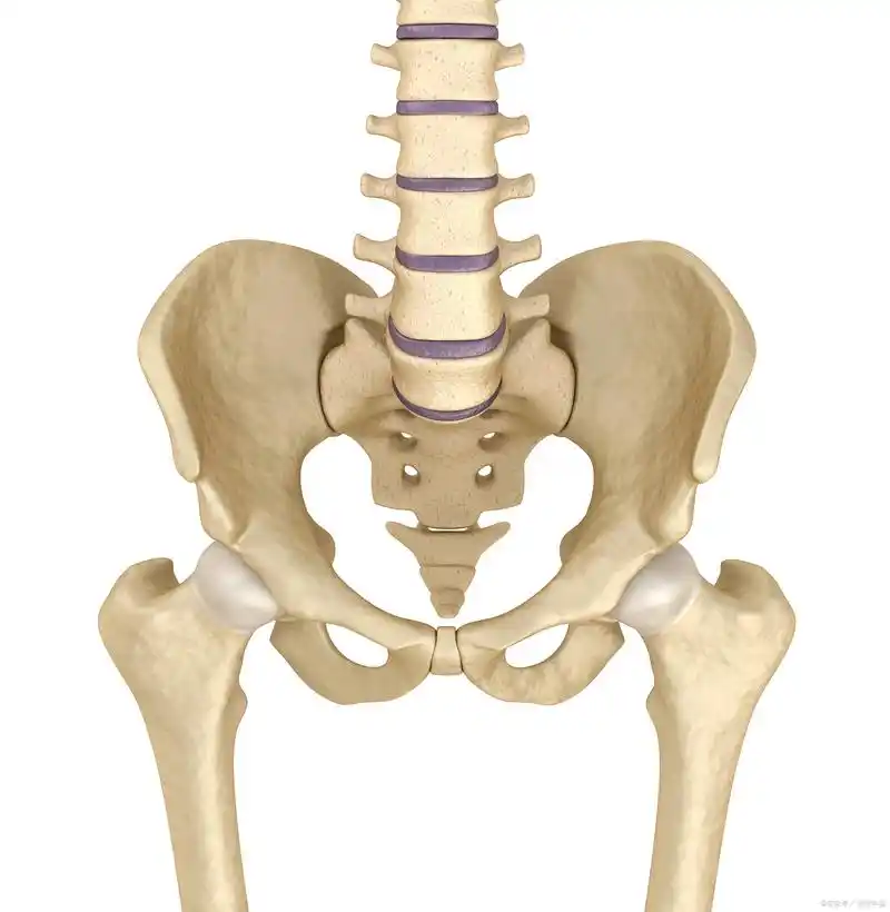 作为婴儿期最常见的骨骼畸形,1