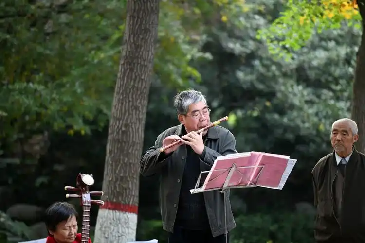 公园里的老年乐队