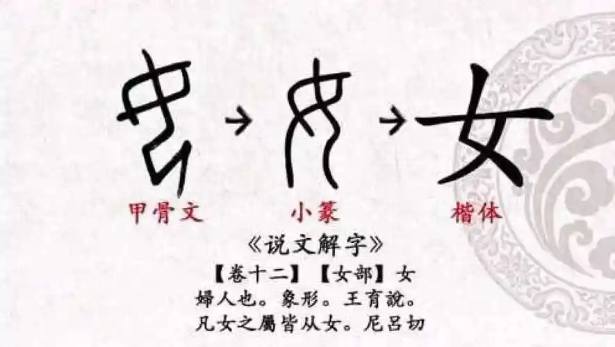 第15天 甲骨文"女"字的写法