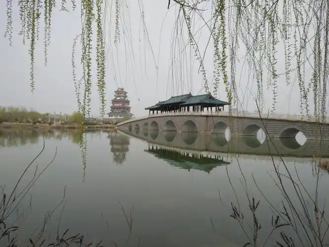 成武县发展潜力大 文亭湖风光美如画