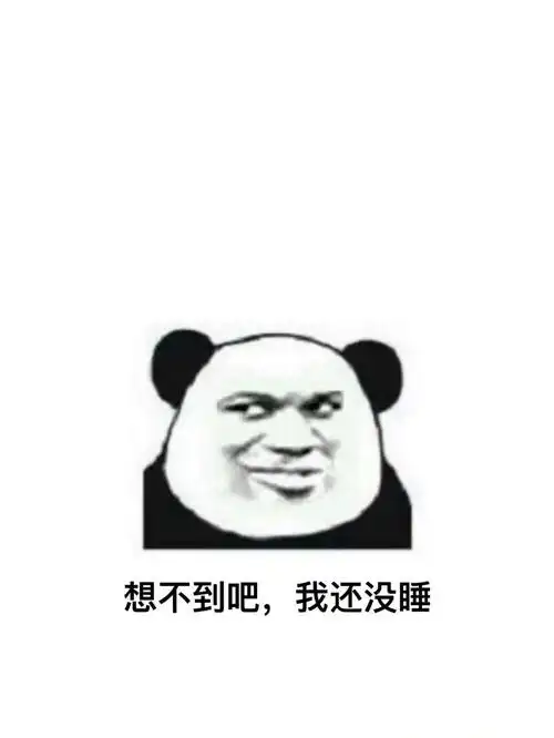 想不到吧我还没睡